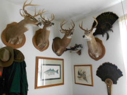 Kirnan Trophy Room